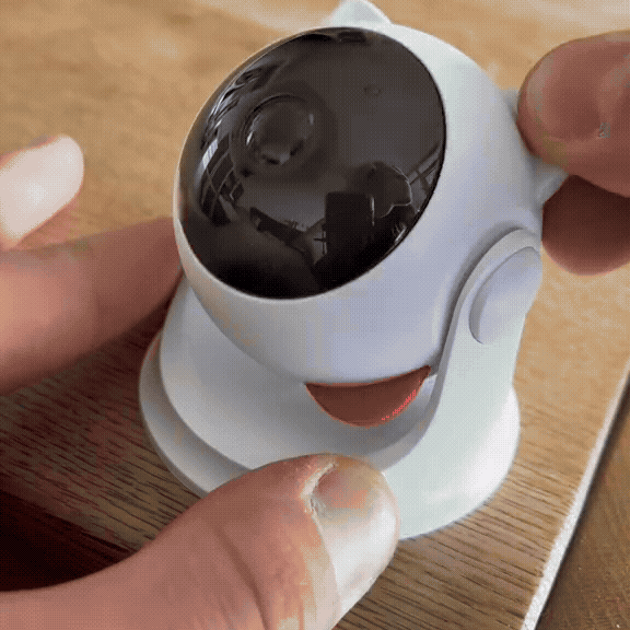 Magic Motion Cat Laser Toy