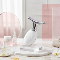 Youthful Glow LED Facial Massager