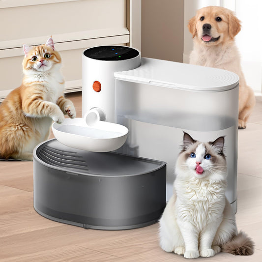 Smart Pet Hydration Station