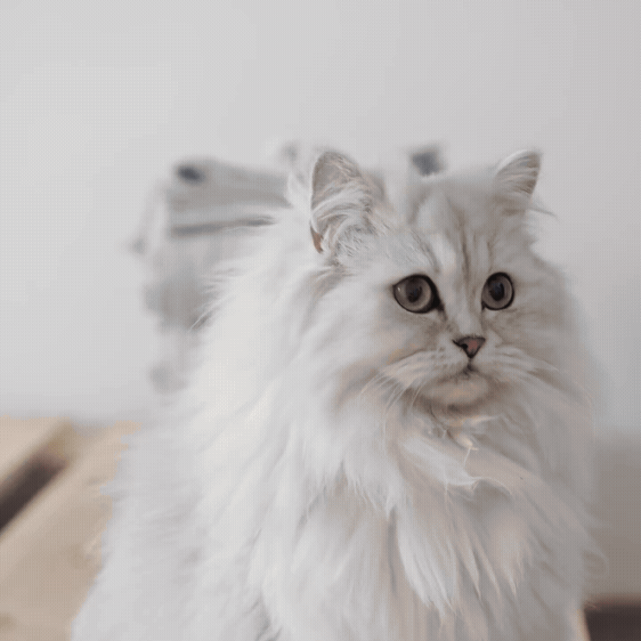 FurEase Pet Grooming Trimmer
